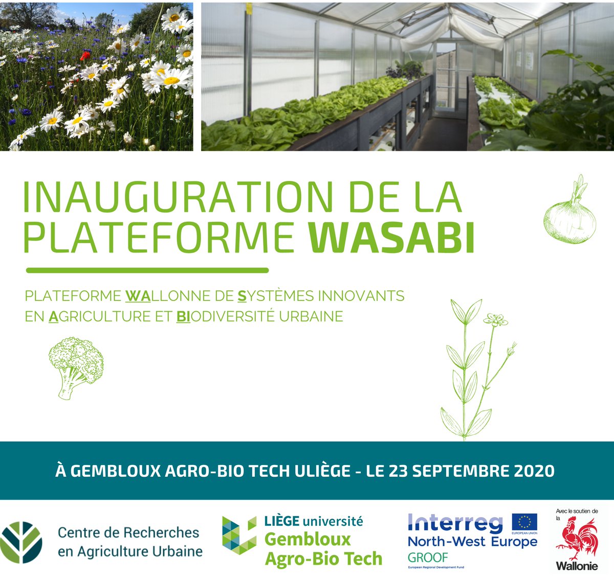 👨‍🌾🍅L'inauguration de la plateforme WASABi-plateforme WAllonne de Systèmes innovants en Agriculture et BIodiversité urbaine-c'est mercredi prochain à Gembloux!
👋Inscrivez-vous aux webinaires : swll.to/2CO5I
🌱Plus d'info : lnkd.in/eiQdcKf