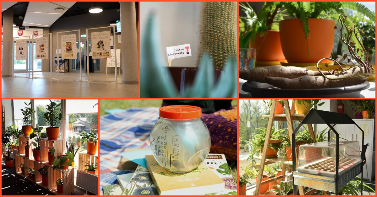 SBP_pl's tweet image. Biblioteka Roślin – zielony projekt♻️ w MBP w Legionowie 😍 👉sbp.pl/artykul/?cid=2…
#zielonabiblioteka #greenlibrary