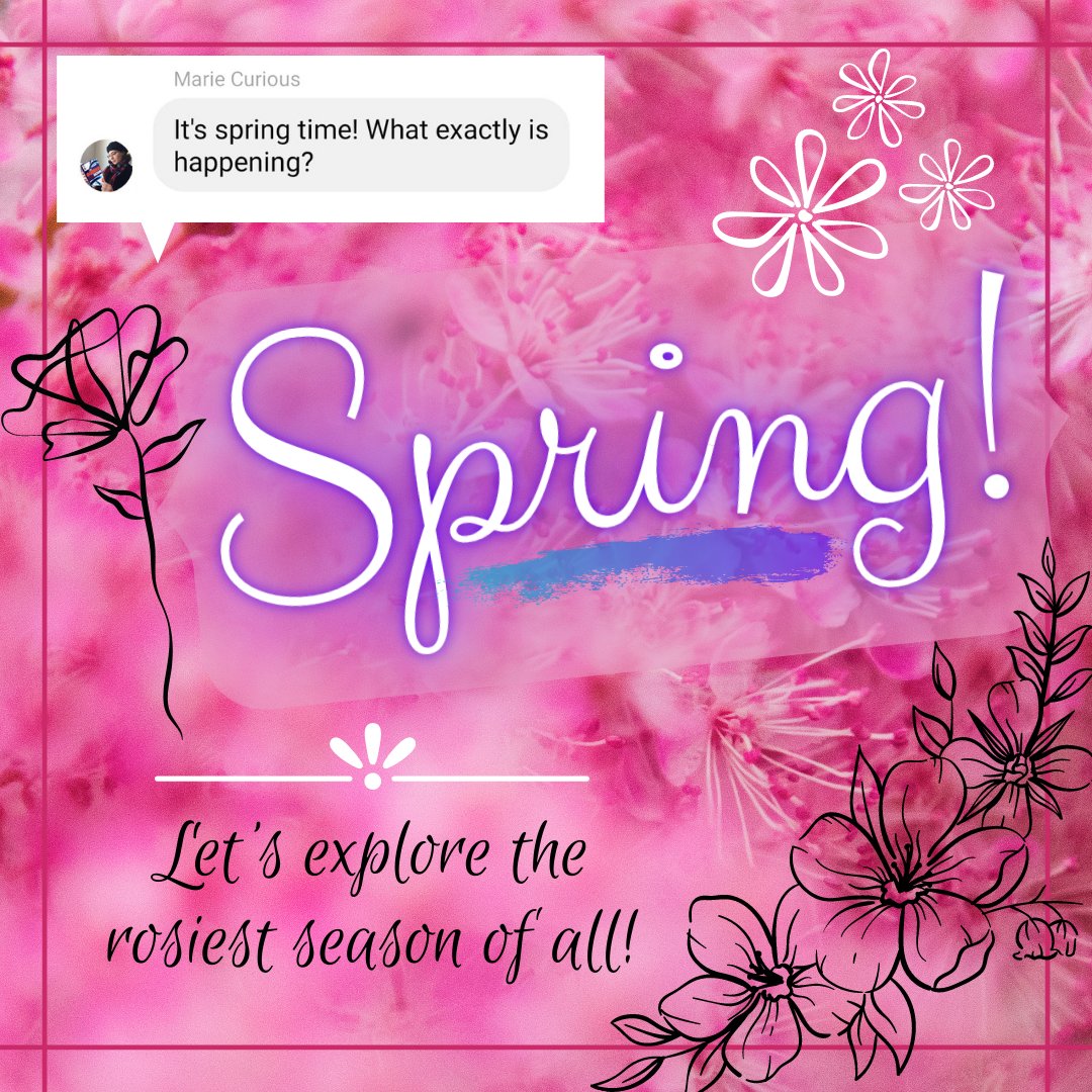Bedtime_Science's tweet photo. It's spring!
This week we're going to look at springtime things! How do flowers know it's time to bloom? What happens inside an unfurling leaf?
Send me your spring questions! 
#bedtimescience https://t.co/V0Q7q7uIGB