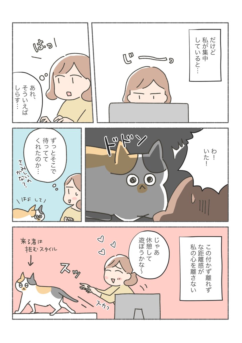 三毛猫しらす漫画

去る者は拒み、来る者も拒む?? 