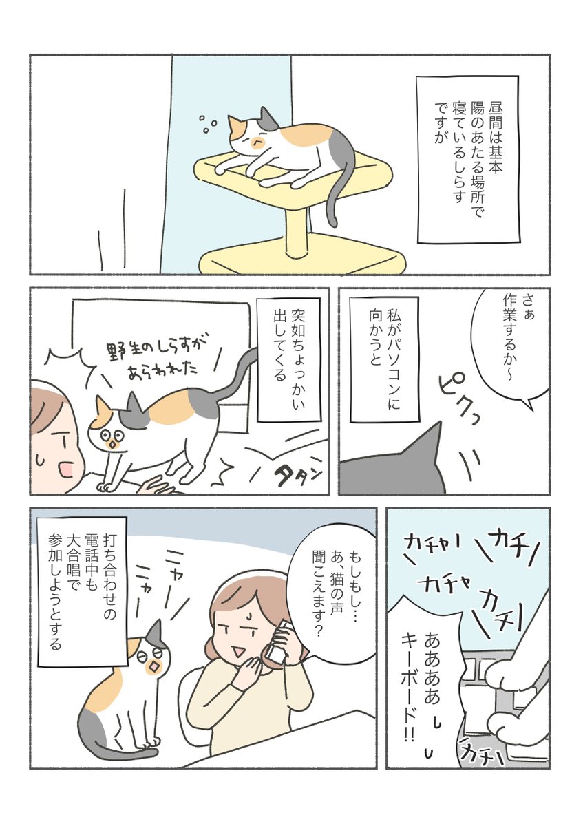 三毛猫しらす漫画

去る者は拒み、来る者も拒む?? 