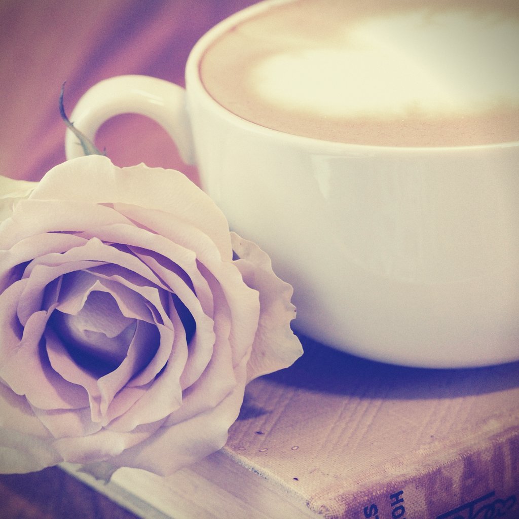 RussellCatrin's tweet photo. π Day 17 of the #FantasyChallengeSeptember - Favourite reading spot/drink on rainy day π
π No favourite reading spot, but... for a drink though... That'd be coffee, 100 out of 100 times βπ
#ReadingSpot #FavouriteDrink #FantasyBooks #WritingCommunity #ReadingCommunity https://t.co/YlVooJ9Xw3