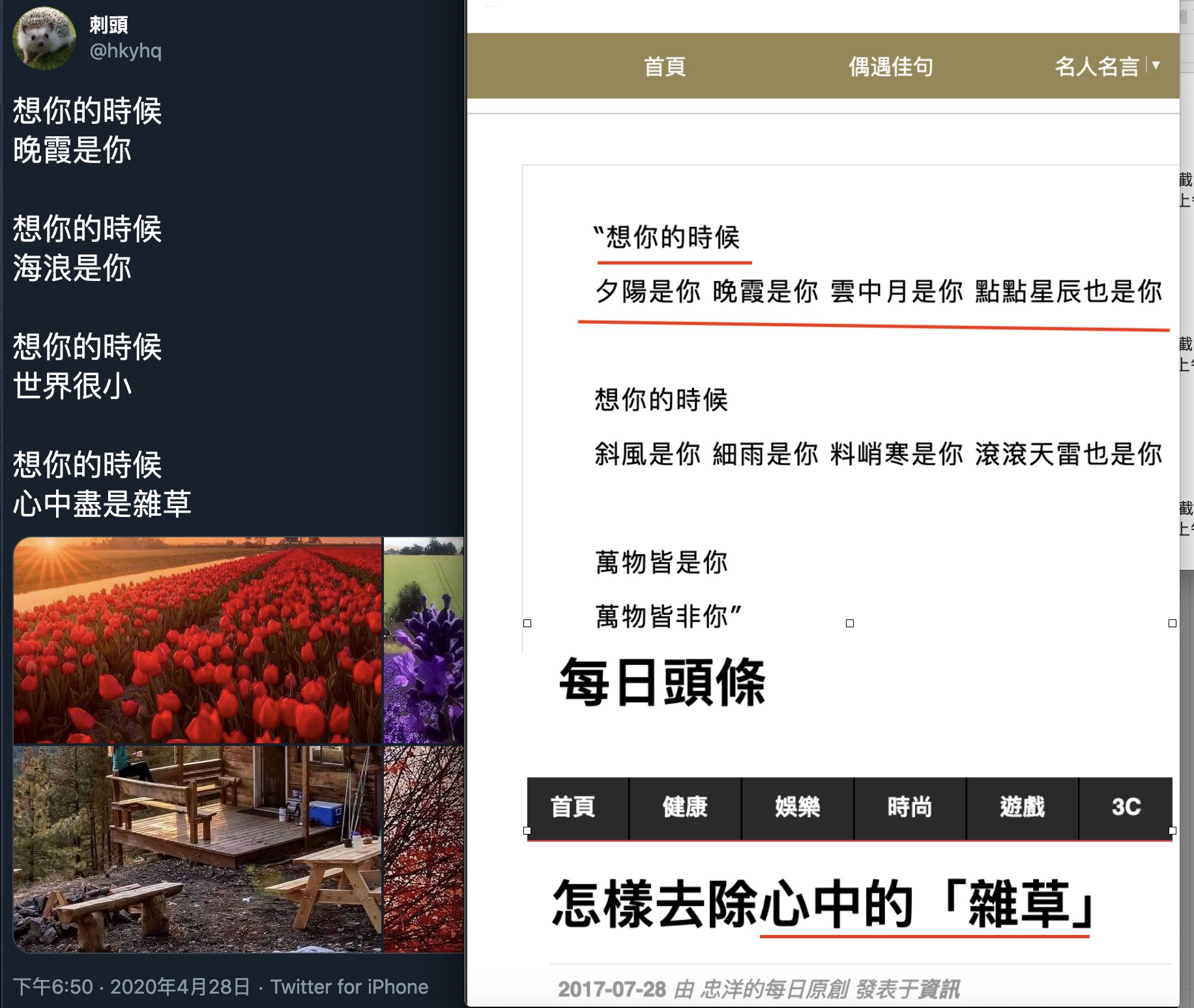 تويتر Elina على تويتر 刺头称在超市买了很贵的百合花 其实百合价格廉宜 她爱发图 却配上图2推友说的昙花 图3 4证实她 买 的百合是昙花 昙花是 刹那的美丽与辉煌 一瞬即永恒 只有盆栽 故花店鲜见 刺头谎称12日考雅思 17日排期在公立医院拔智慧齿 香港