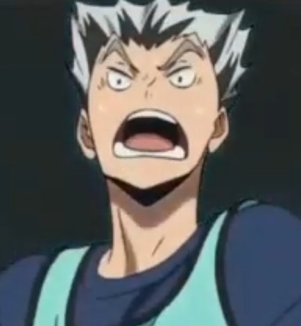 bokuto as owls, a thread