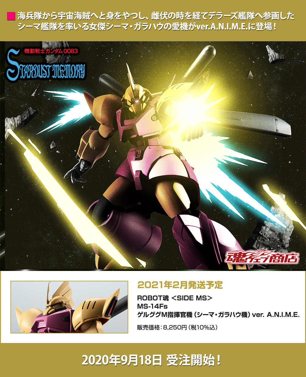 ゲルググM指揮官機（シーマ・ガラハウ機）ver. A.N.I.M.E. ROBOT魂