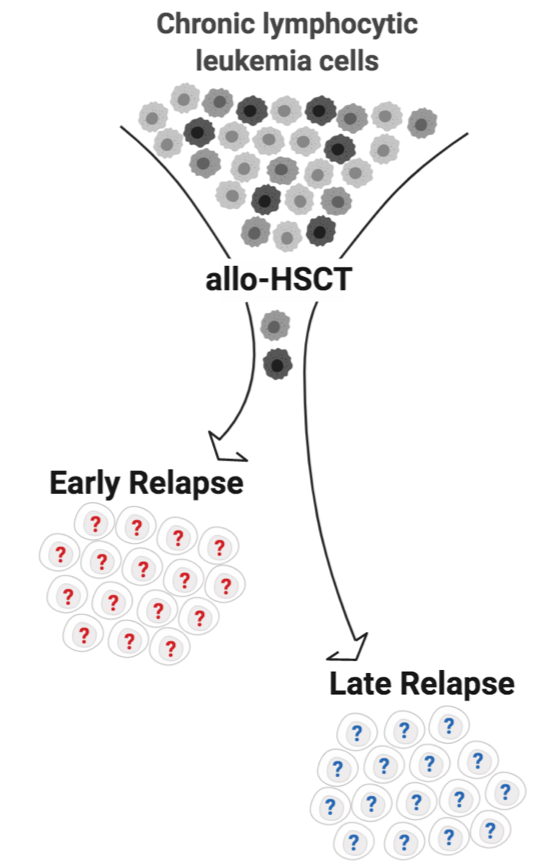 1/ Can leukemic cell intrinsic features shape #bmt outcomes? Great team effort to address this in <a href="/ScienceTM/">Science Translational Medicine</a>! Thx to Wu lab, <a href="/KharchenkoLab/">PeterK</a>, <a href="/getz_lab/">Gad Getz Laboratory</a>, @BeTheMatch, and #patients <a href="/DanaFarber/">Dana-Farber</a> for support! stm.sciencemag.org/content/12/561….