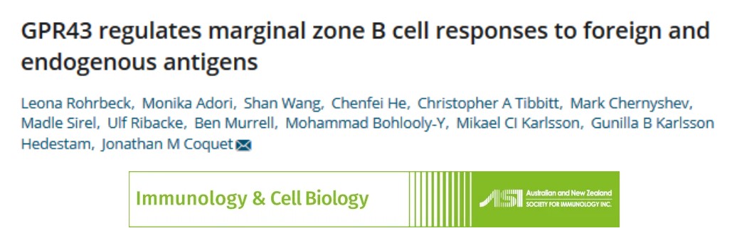 AutonomicAus's tweet photo. GPR43 regulates marginal zone B cell responses to foreign and endogenous antigens, by @jonatcoquet et al, at @karolinskainst, in @ImmunolCellBiol: @ASImmunology
https://t.co/thBzISNTcR
#Bcells #antigens #GPR43 #Bcell #antibodies #autoantibodies #immunology #cellbiology https://t.co/4GLLsm5vky