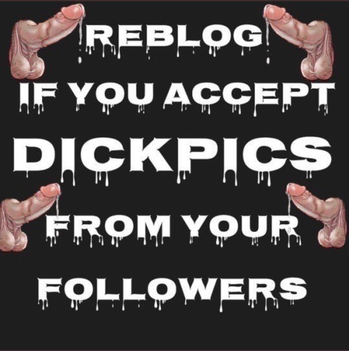 I love a good dick pic so feel free. 