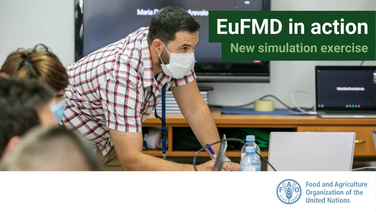 Eufmd's tweet image. 📢New #SimulationExercise
On 22 September the #EuFMD will hold a new #simex on #FMD, this time in #Albania!
The outcomes of this exercise will be included in a cycle of continuous improvement for #emergencypreparedness.