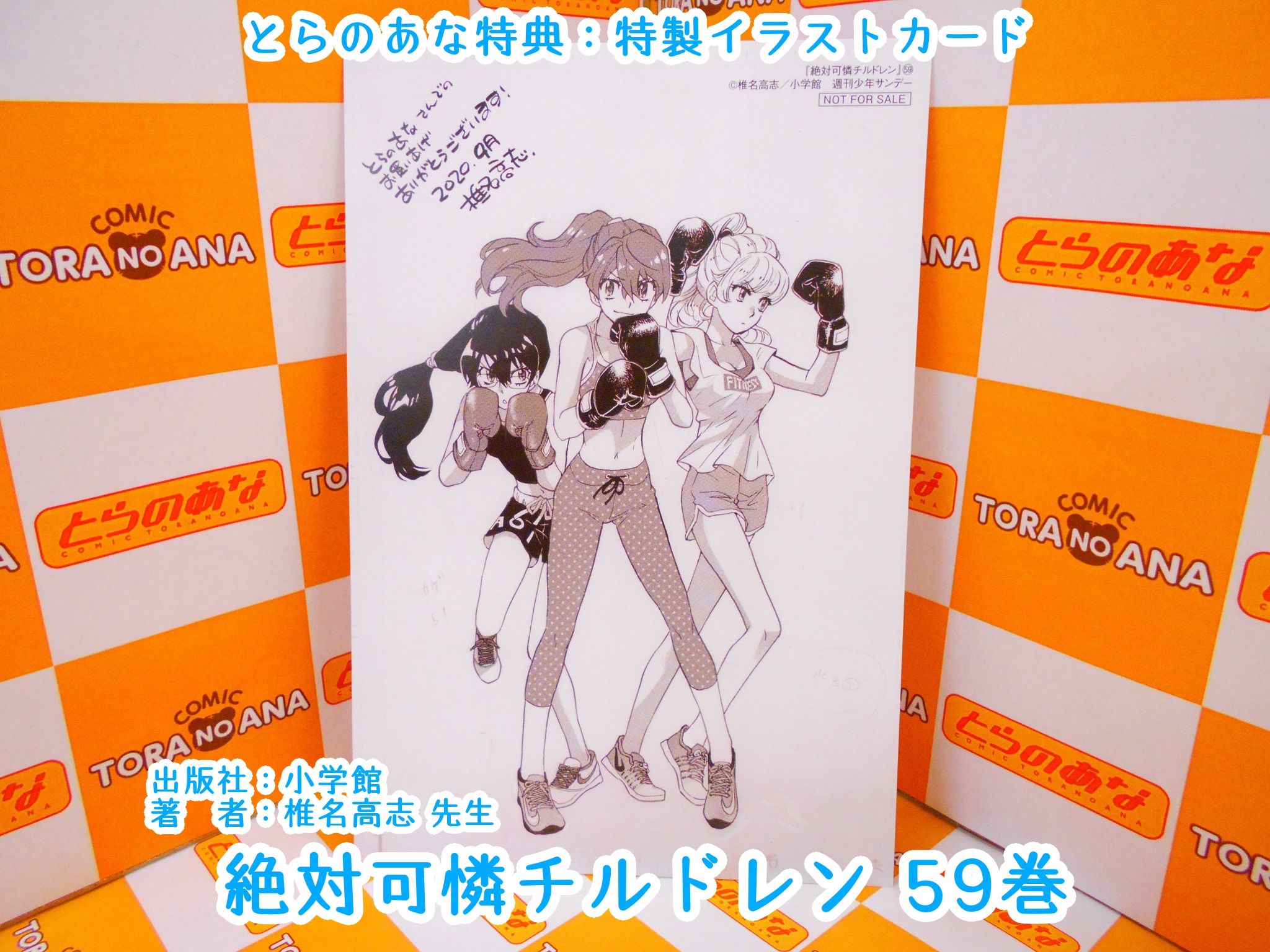 とらのあな【公式】 on X: 