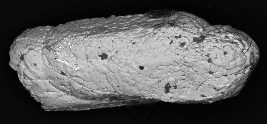 RockhoundRich's tweet photo. @MineralCup Last ditch promotion for #zircon! Some more SEM images of grains separated by @SELFRAG_AG from the collection of @DrTMNZ and Co. Intricate microstructures and subgrains preserving a "shocking" history! #MinCup2020 https://t.co/jffceTJOd7