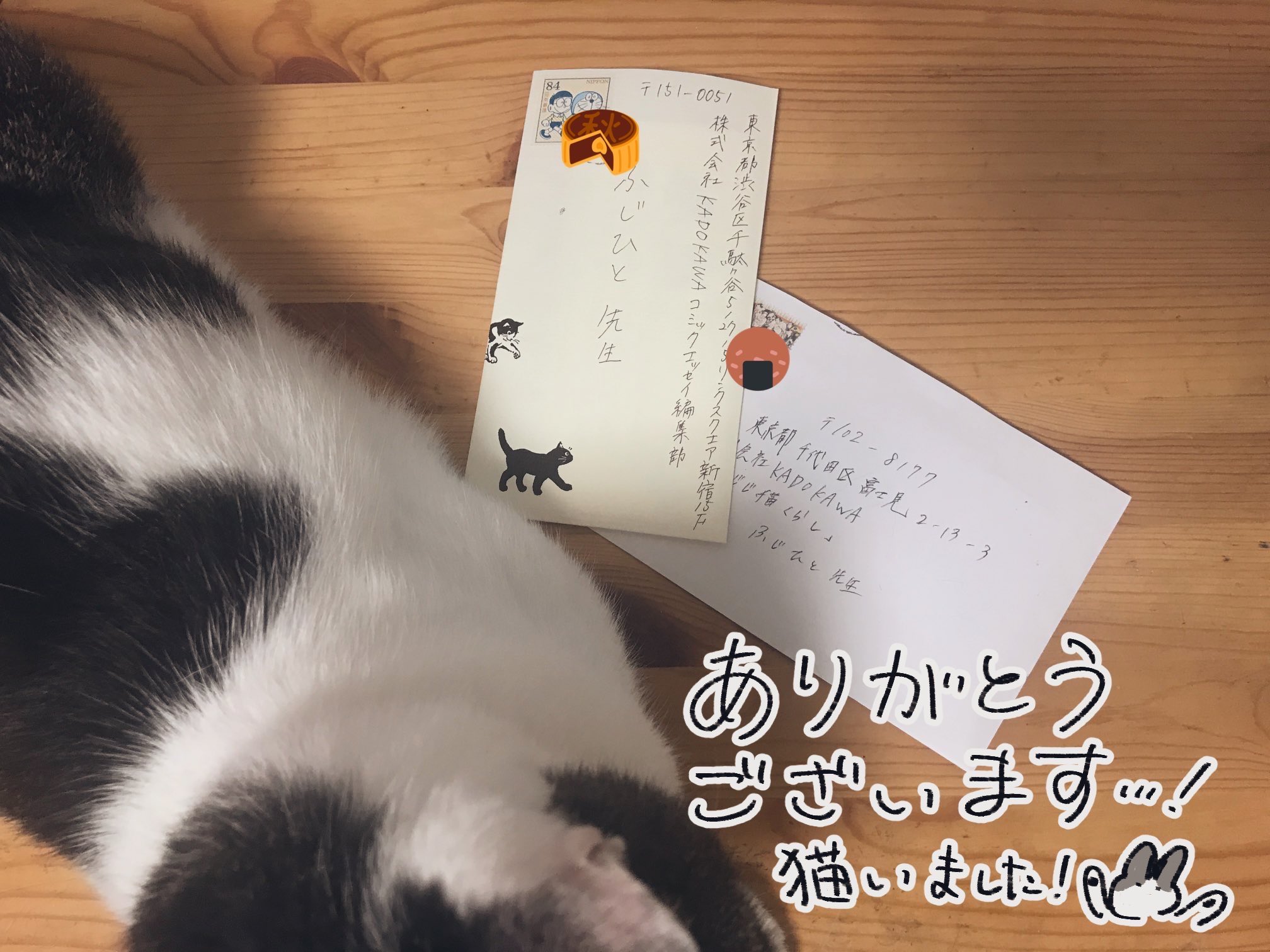 ふじひと じじ猫くらし 重版が決まりました お手紙もいただきました ありがとうございます ふじひと じじ猫くらし 重版が決まりました お手紙もいただきました ありがとうございます