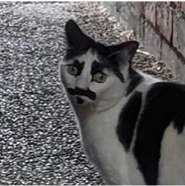 Herkese yalan söylerim sana yalan söylemem