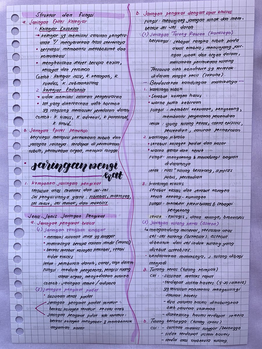 cremecarameell's tweet photo. ✨☀️ Catatan Biologi Kelas 11 ☀️✨
            🐥Jaringan Hewan🐥
Sumber : buku intan pariwara https://t.co/mITcmhHGQI