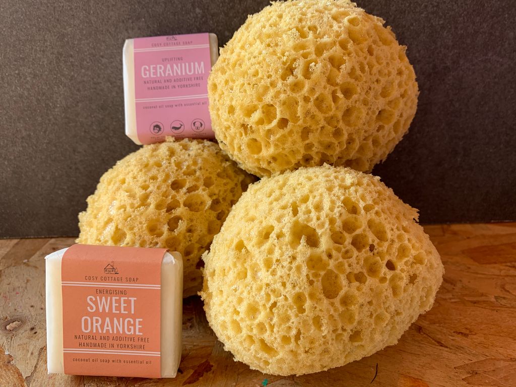 youlovegifts's tweet photo. SPONGE! Ok who thought π°? Natural sponges for #plasticfree bath time in store & online https://t.co/s5DkuzmUpW ππ§½#naturalsponge #zerowaste @OneChippenham #wiltshour #chippenham #shopsmall #smallbiz #ecoliving #vegan https://t.co/MhNGAWolAy