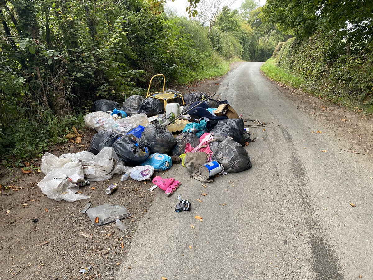 Robert Macey tweet media