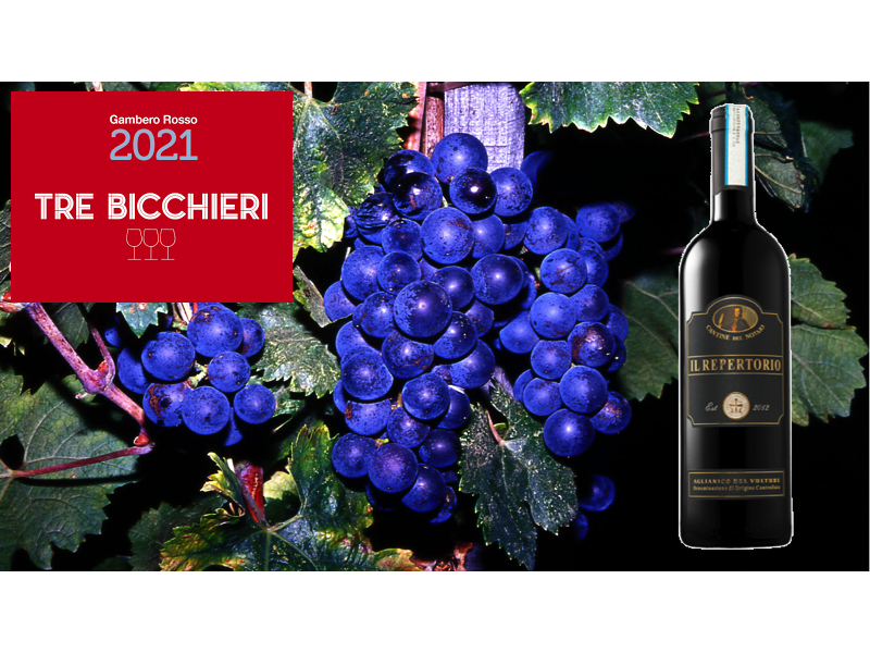 vintaliani's tweet photo. Wederom een mooi resultaat voor Cantine del Notaio. Tre Bicchieri ontvangen voor de wijn Aglianico del Vulture "Il Repertorio 2018" van Gambero Rosso voor de gids van 2021. Wij feliciteren de complete crew van Cantine del Notaio voor dit mooie resultaat. https://t.co/VoLhpDVdj8