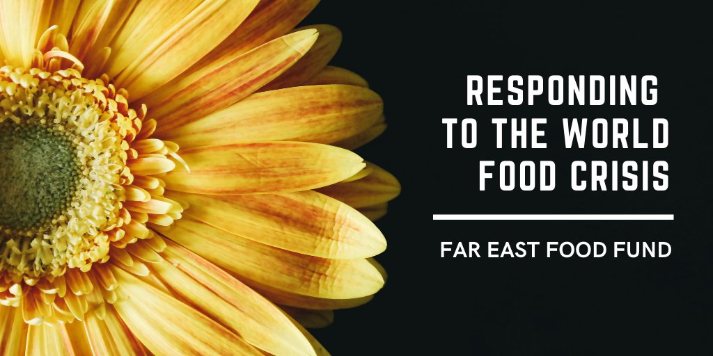 Responding to the world's food crisis.
The modern world needs flexible systems prevention and response to food crises. Existing models and procedures do not allow us to identify, prevent risks at the initial stage entirely
The Far East Food fund operates  of food crisis response