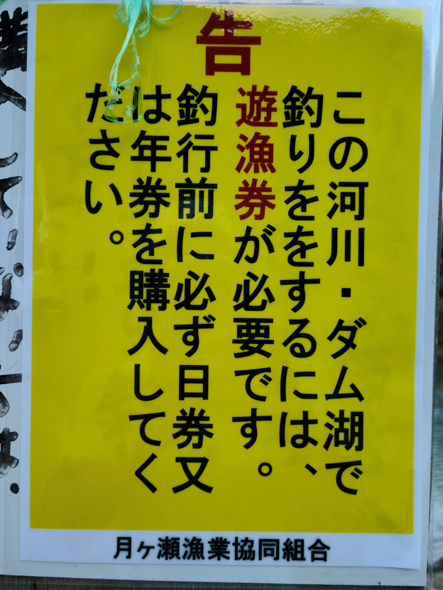 遊漁券 Twitter Search Twitter