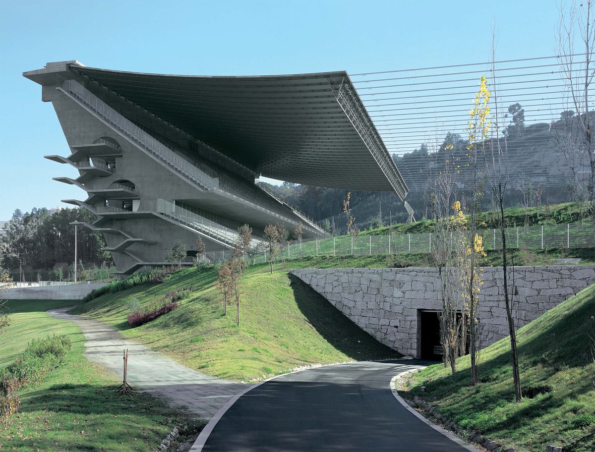 Peter tweet media