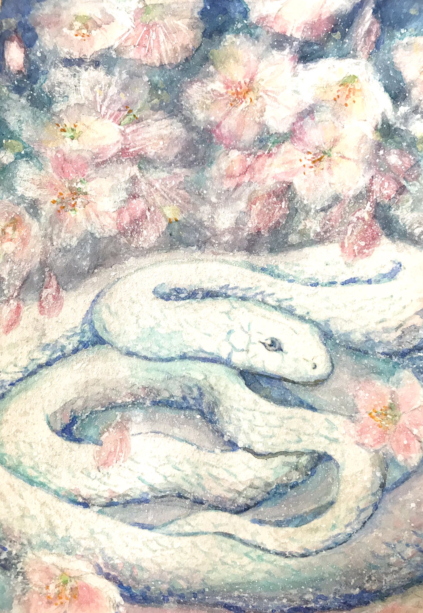 福袋 売れ残り いろはす もも  X: on 絵画