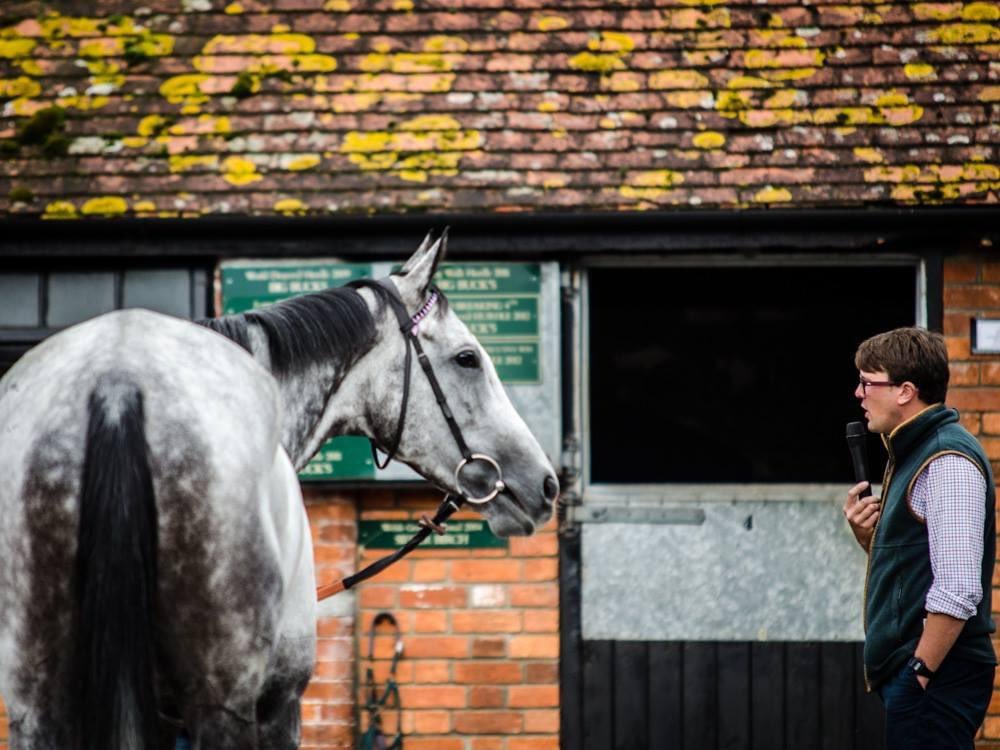 Rob Wareham tweet media