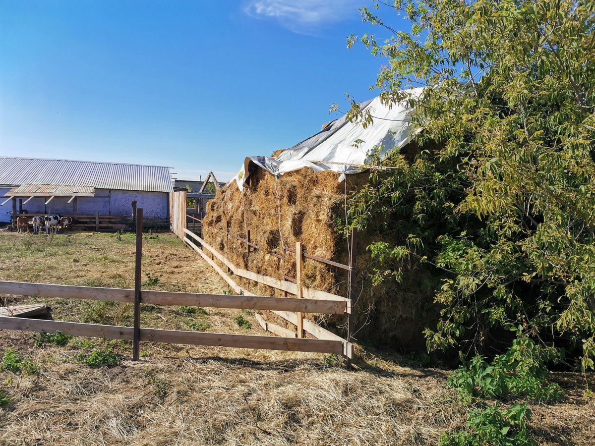 В рамках реализации #НацпроектМСП посетили начинающего фермера Тарзиманова Л.Р. получившего грант по программе Агростартап, в рамках встречи оказали помощь в подготовке документов для регистрации потреб.кооператива по сбору молока "Дуслык"