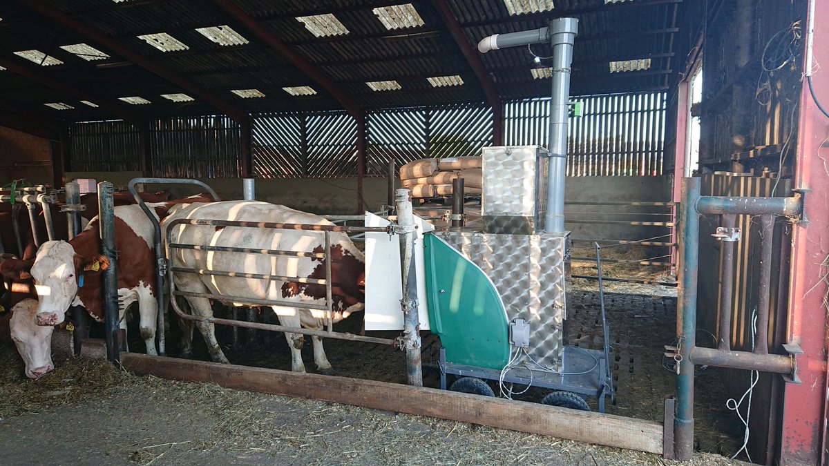 Raphaël Boré tweet media