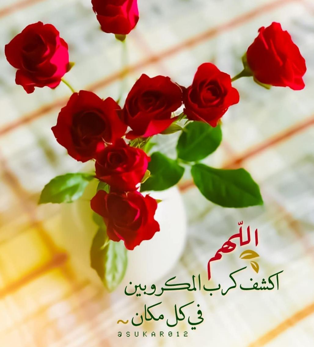 💭♥️🌿

مهما قست بك الحياة ، فتذكر هذه الآية 

{قُل لَّن يُصِيبَنَا إِلَّا مَا كَتَبَ اللَّهُ لَنَا هُوَ مَوْلَانَا ۚ وَعَلَى اللَّهِ فَلْيَتَوَكَّلِ الْمُؤْمِنُونَ }

💭♥️🌿