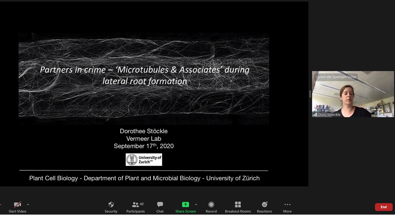Post Doc Association Unige Next Up We Have Dorostoeckle From Vermeer Lab University Of Zurich Talking To Us About Microtubules And Lateral Root Formation T Co Jczmrirgs3