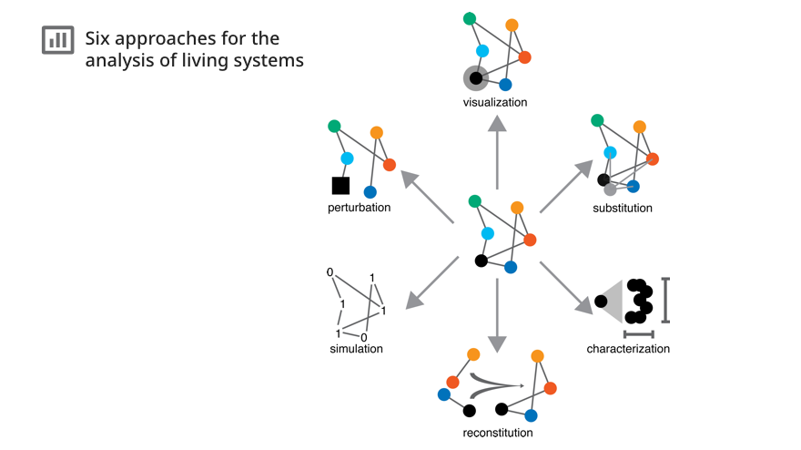 By thinking about experimental techniques in terms of six broad approaches, researchers may be able to generate more reliable inferences, argues Antony Jose elifesciences.org/articles/56354… #PhilosophyOfBiology
