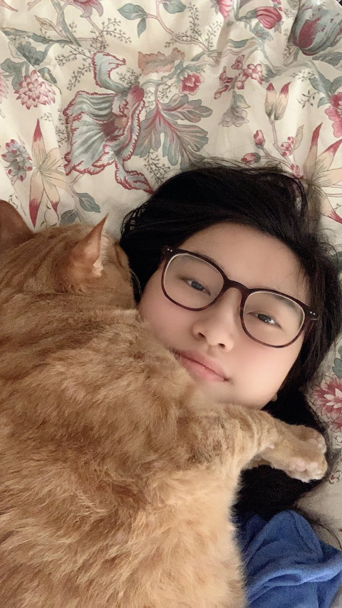 ncity_cats's tweet photo. sometimes we get smothered by our cats and thatβs ok #NCITYSELCADAY https://t.co/BFVEu4x6dY