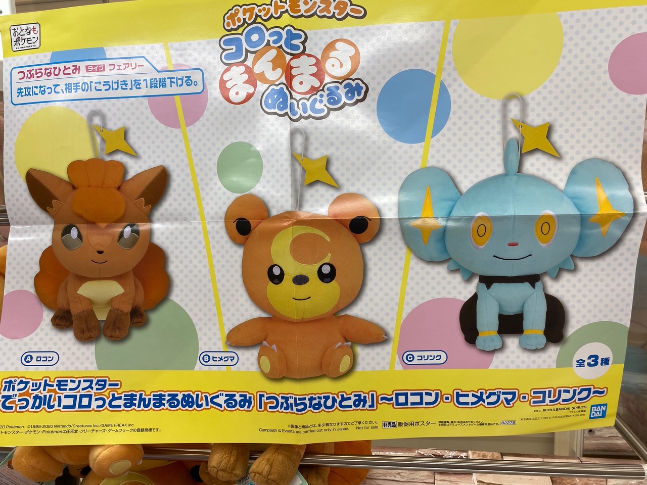 Twitter 上的 ゲームパニック京都 景品入荷情報 ポケットモンスター でっかいコロっとまんまるぬいぐるみ つぶらなひとみ ロコン ヒメグマ コリンク 全3種 ポケモン プライズ 河原町 クレーンゲーム Ufoキャッチャー ゲーパニ T