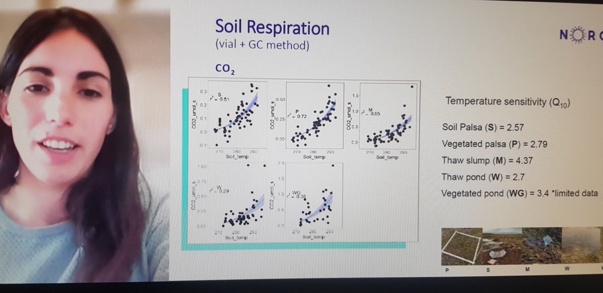 janne_rintala's tweet photo. Latest of the latest results of soil respiration of permafrost "palsa" swamps. #ICOS2020SC https://t.co/mWKiqAeIVm
