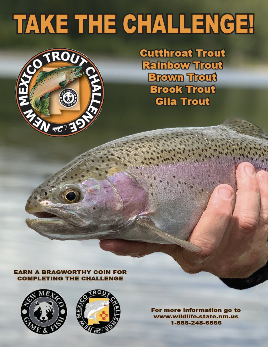NMDGF's tweet photo. #TroutChallengeThursday Did you know that 79 anglers from all over the US, not just NM, have completed the NM Trout Challenge? Do you think the NM Bass Challenge will be more popular? #NMtroutchallenge #NMbasschallenge
https://t.co/qnCV4xWeyZ
https://t.co/t5yPjWq67A https://t.co/7o1TVPRfxs