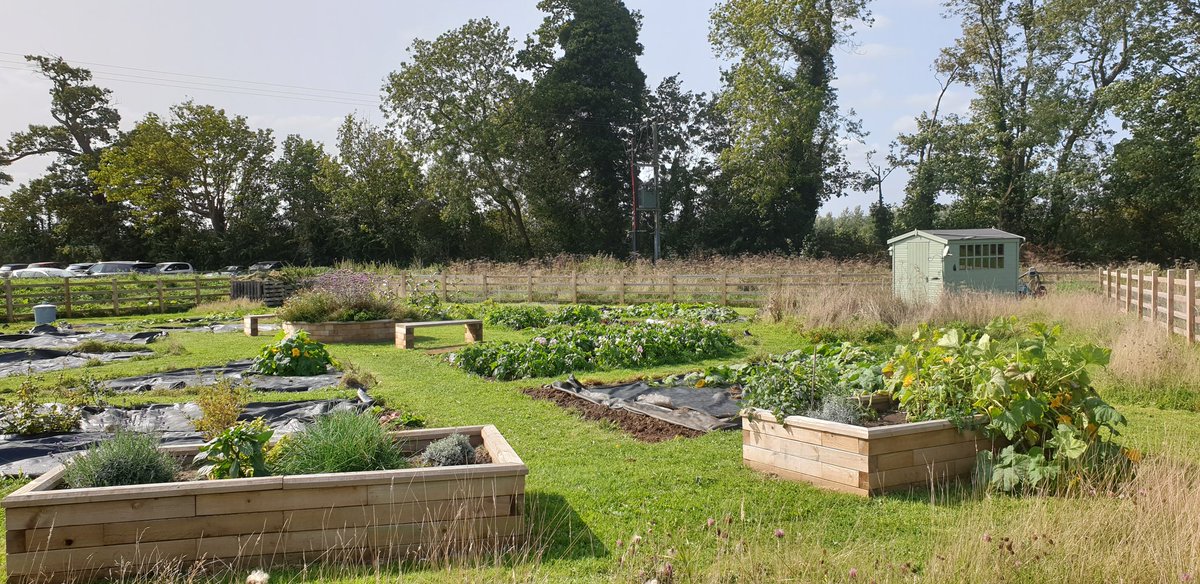LifeatNo27's tweet photo. Sometimes you have to step back and look at what you have created! Its not finished yet, but wow! This is my first bespoke adult therapy allotment site designed to support those struggling with mental health illnesses. Accessible via GP or social prescriber referral 😀💚 https://t.co/3oqXuFwOLw