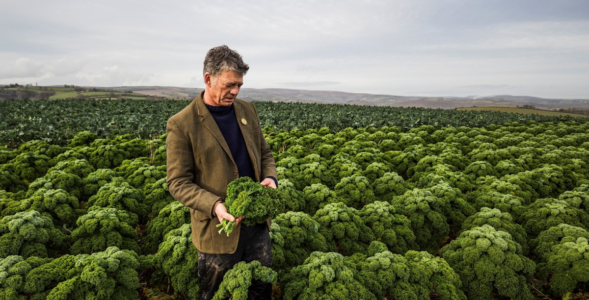 triodosuk's tweet photo. To celebrate #OrganicSeptember, we interviewed @Riverford founder, Guy Singh-Watson, to find out more about why he chose to start farming organically.
Read the fill interview here https://t.co/M4XNPAgSwN #NatureHasTheAnswer #SmallSwapBigDifference https://t.co/Rrs6aowmXB