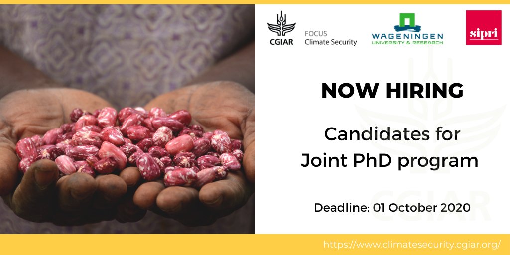 Do you have a background in agricultural research &amp; want to take it further? 

We've teamed up with @WUR_SIPRI to offer #PhD opportunities in #climatesecurity research within the broader field of #foodsystems &amp; natural resource management.

Learn more ➡️on.cgiar.org/3bLqnEr