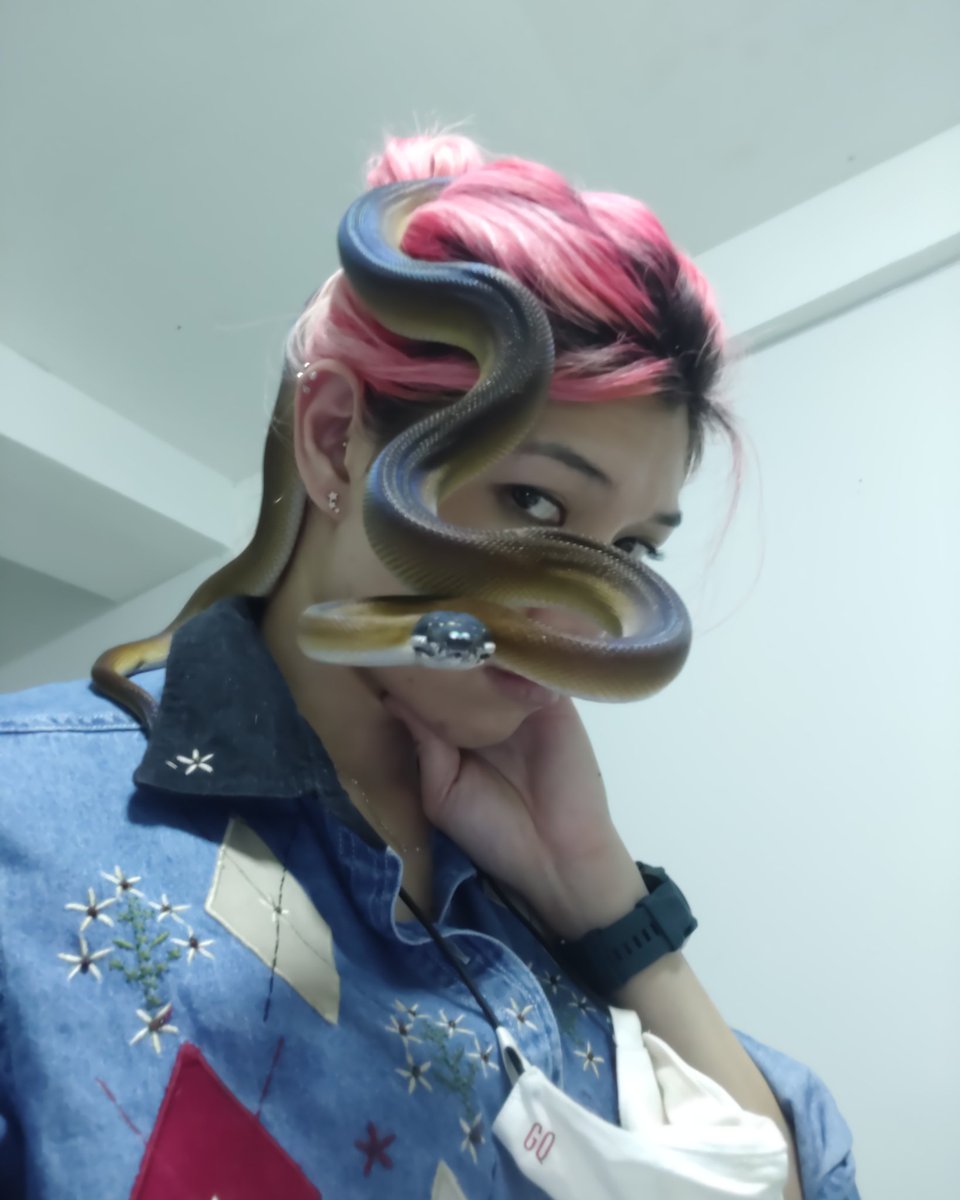 No3oDiiEz's tweet image. ในการชักภาพร่วมกับลูก ต้องยากเย็น #WhiteLippedPython