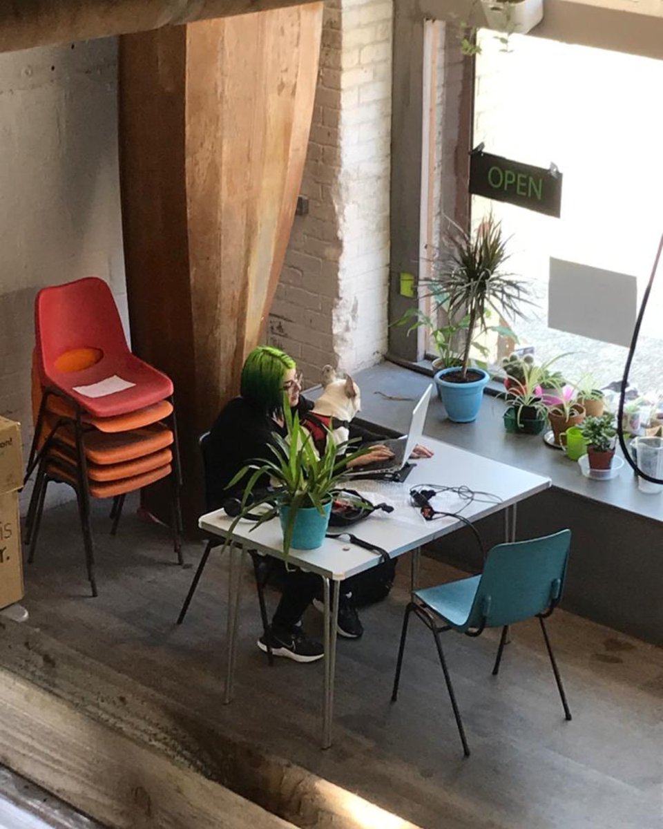 AirePlaceStudio's tweet photo. Ask us about our co-working spaces! E-mail aireplacestudios@gmail.com 

Here's @ayykaplan co-working with Henry, the studio dog!

#Aireplacestudios #dog  #studiodog #mascot #studio #coworkingspace #leedsindependents  #creativespace #creativeleeds #leedsmakers  #leedslife #leeds https://t.co/BE3pmlLzgc