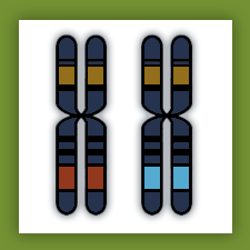 dPCR_GenePi's tweet image. Are you planning to use #DigitalPCR for Copy Number Variation (CNV) detection?

Here&apos;s a detailed item that covers the basics and the calculations behind Copy Number Variation (CNV) detection for Digital PCR experiments!
lnkd.in/d3CYmXG.