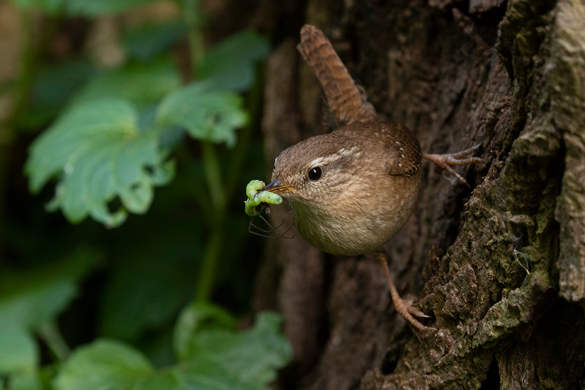 Découvrez la sélection des films amateurs du FINN 2020
=> bit.ly/33IT0P8