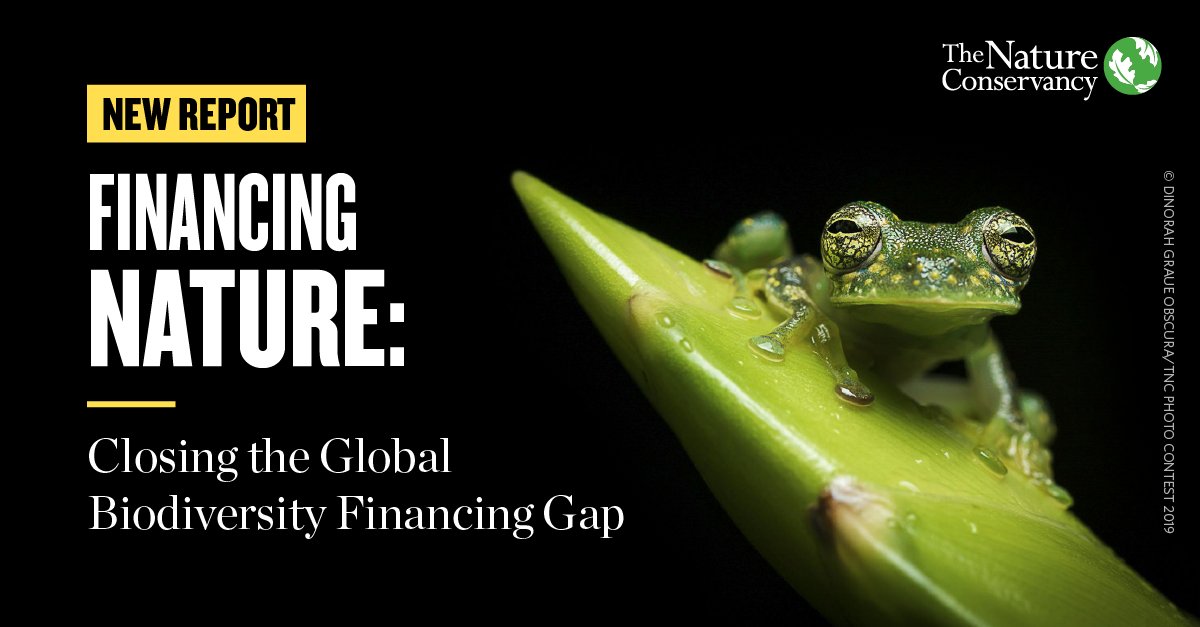 A finance plan for the planet? Reduce harm. Produce green. #InvestinNature. Learn more in a new landmark report from @nature_org @PaulsonInst & @AtkinsonCenter. nature.ly/2ZIcXnT #NatureNow #NatureMatters #GBO5
