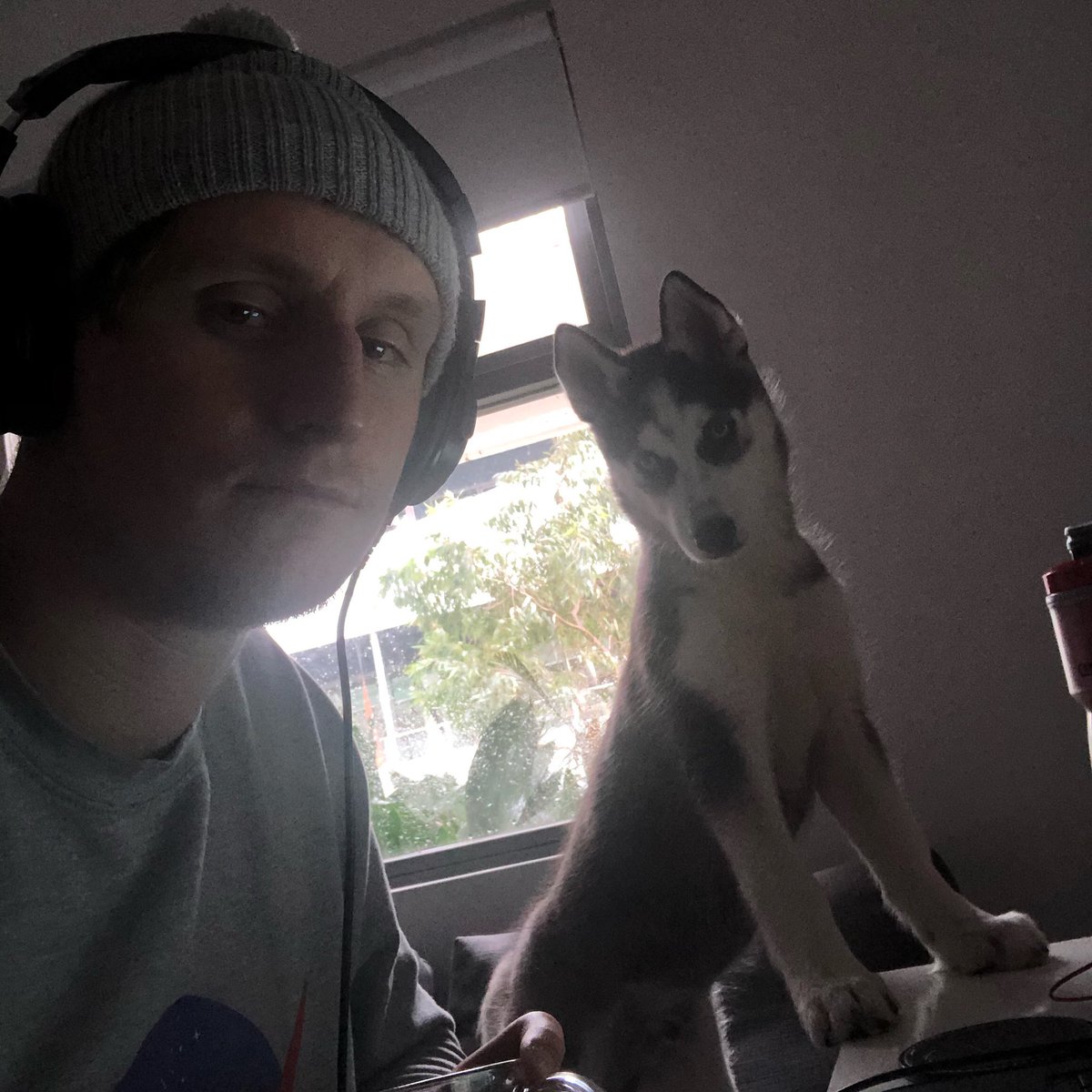 My remix of <a href="/pnkfme/">PNK FME</a>’s ‘Body Language’ is live on <a href="/triplejunearthd/">triple j Unearthed</a>. Be a legend like <a href="/tommyfaith_/">Tommy Faith</a> and leave a review via triplejunearthed.com/artist/lucian