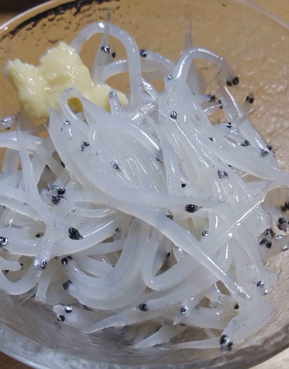 生シラウオ