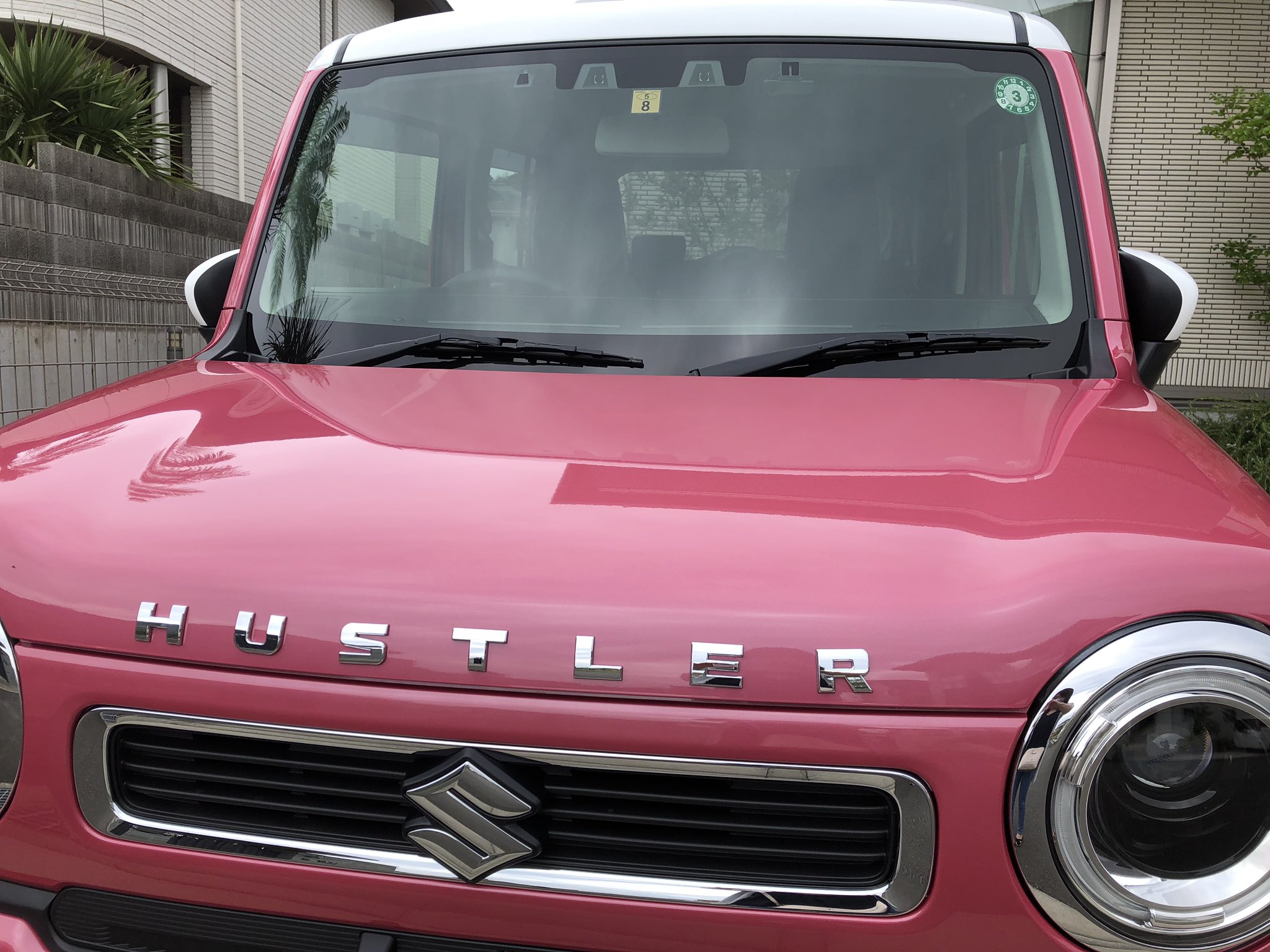 Natsumi 5カ月近く待ってようやくお迎え かわいい 新型ハスラー 新型ハスラー納車 ピンクハスラー ハスラーピンク T Co M8ftxqjlea Twitter