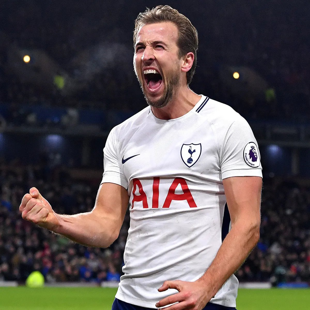 [THREAD] It’s the start of a new season & after  #THFC’s dire performance against Everton, I started to wonder...𝗪𝗶𝗹𝗹 𝗛𝗮𝗿𝗿𝘆 𝗞𝗮𝗻𝗲 𝗯𝗲𝗮𝘁 𝗔𝗹𝗮𝗻 𝗦𝗵𝗲𝗮𝗿𝗲𝗿’𝘀 𝗮𝗹𝗹-𝘁𝗶𝗺𝗲 𝗣𝗿𝗲𝗺𝗶𝗲𝗿 𝗟𝗲𝗮𝗴𝘂𝗲 𝗴𝗼𝗮𝗹𝘀𝗰𝗼𝗿𝗶𝗻𝗴 𝗿𝗲𝗰𝗼𝗿𝗱? #THFC  #NUFC /1