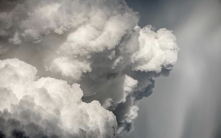 بـاء العنزي tweet media