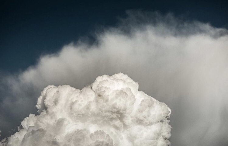 بـاء العنزي tweet media