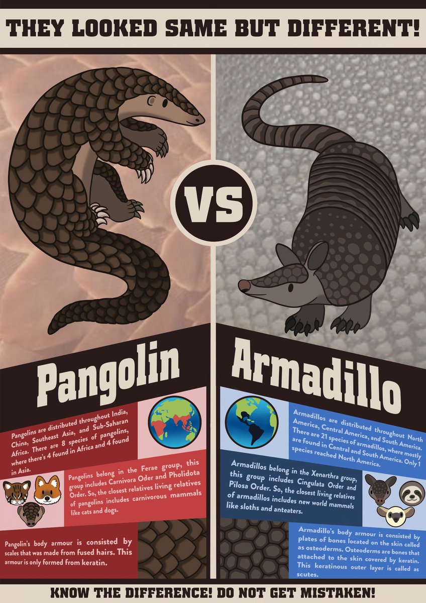 Difference between Cold blooded and Warm blooded animals, image size:848x1200